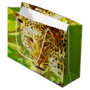 Suche nach afrikanischer leopard Große katzen