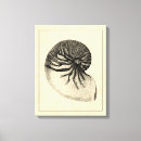 Suche nach muscheln leinwandbilder Meer