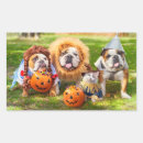 Suche nach lustige bulldogge aufkleber Haustiere