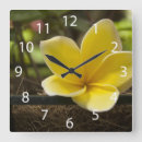 Suche nach exotic wanduhren Nature