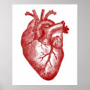 Suche nach herzanatomie poster Vintag