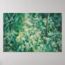Suche nach wiesen poster Gras