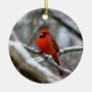 Suche nach männliche ornamente Jede person