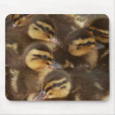 Suche nach babys mousepads Enten