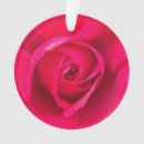 Suche nach romantische rosen ornamente Blume