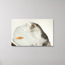 Suche nach fishbowl Studioschuß