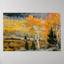 Suche nach utah herbst poster Amerika