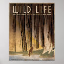 Suche nach wildes leben poster National