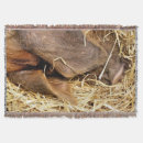 Suche nach schweine decken Für alle