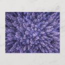 Suche nach daumen postkarten Für alle