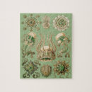 Suche nach quallen puzzle Vintage