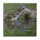 Suche nach entlein untersetzer Jede person