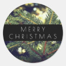 Suche nach kiefer aufkleber Froh