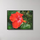 Suche nach hibiskus leinwandbilder Rot