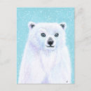 Suche nach polar bear postkarten Bär