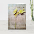 Suche nach herbarium postkarten Blätter