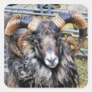 Suche nach schuh aufkleber Jede person