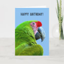 Suche nach papagei karten Für alle