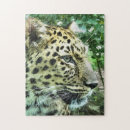 Suche nach leopard puzzle Wild