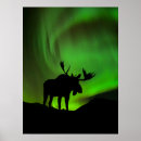 Suche nach alaska poster Aurora