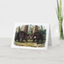 Suche nach audubon karten Tierwelt