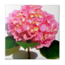 Suche nach hydrangea blume fliesen Blumenreich