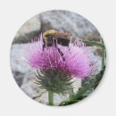 Suche nach hummeln magnete Honig