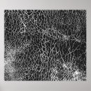 Suche nach krokodile poster Muster