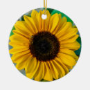 Suche nach biene ornamente Sonnenblume