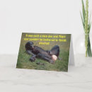 Suche nach ape karten Schimpanse