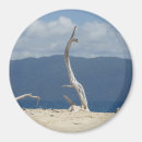 Suche nach baumstamm magnete Jede person