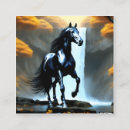 Suche nach schwarzes pferd visitenkarten Natur