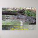 Suche nach grüntöne poster Pflanze
