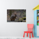 Suche nach süßes tier poster Für kinder