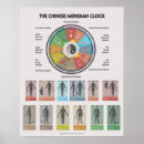 Suche nach meridiane poster Akupunktur