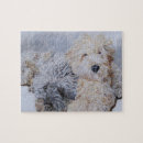 Suche nach labradoodle puzzle Goldendoodle