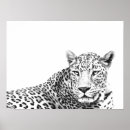 Suche nach schwarzer jaguar poster Jungle