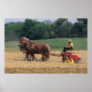 Suche nach amish poster Landwirtschaft