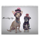 Suche nach hund kalender Tierkalender
