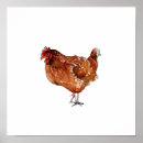 Suche nach henne poster Vogel