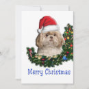 Suche nach shih tzu hund postkarten Weihnachten