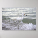 Suche nach weißer strand poster Wellen