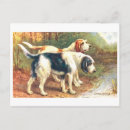 Suche nach jagdhunde postkarten Welpe
