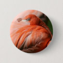 Suche nach rosa federn buttons Tier