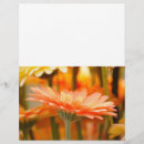 Suche nach frühling flyer Nahaufnahme