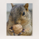 Suche nach nuss puzzle Nagetier