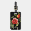 Suche nach kamelie gepäckanhänger Granger archiv