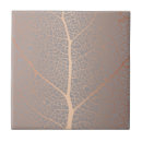 Suche nach leaf blatt tree baum Natur
