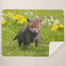 Suche nach fuchs decken Jedes kind