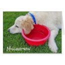 Suche nach trauriger hund postkarten Vermisst sie